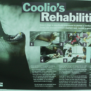 Aug. 2017 - Water's Edge - Coolio's Story