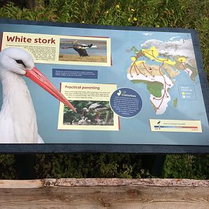 White Stork Signage