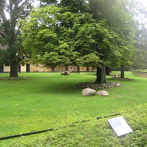 Rostock Zoo - Old hoofstock exhibit