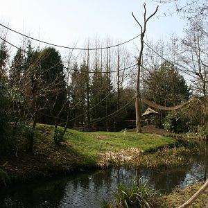 Red-faced spider monkey and Bolivian squirrel monkey islands
