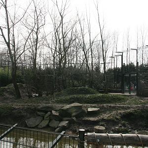 seccond tiger enclosure