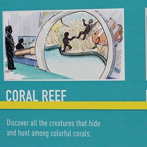 Aquarium Refurbishment