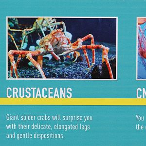 Aquarium Refurbishment