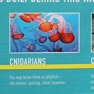 Aquarium Refurbishment