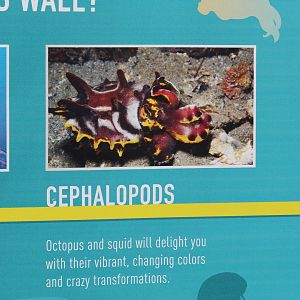 Aquarium Refurbishment