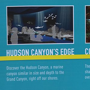 Aquarium Refurbishment