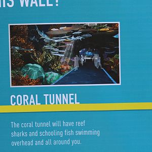 Aquarium Refurbishment