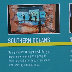 Aquarium Refurbishment