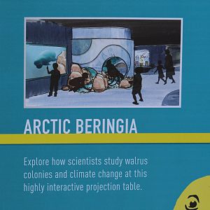 Aquarium Refurbishment