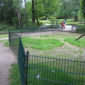 Rostock Zoo - Petting zoo - Goat pen