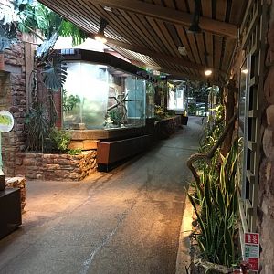 Reptile House 070117