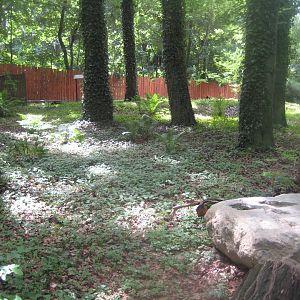 Rostock Zoo - Flower field