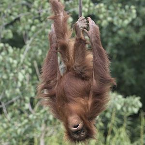 Tuti enjoying herself