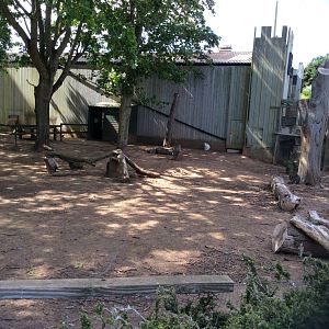 Wallaby and emu enclosure 270517