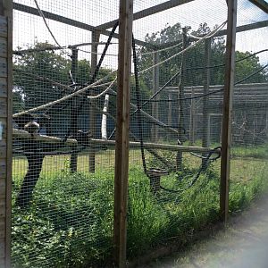 Primate enclosure 270517