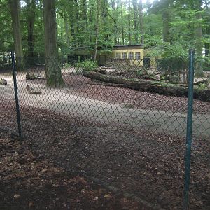 Rostock Zoo - Pampas exhibit