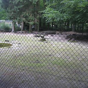 Rostock Zoo - Australian exhibit