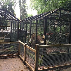 Squirrel monkey enclosure 300617