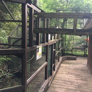 Emperor tamarin enclosure 300617