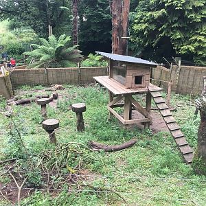 Coati enclosure 300617