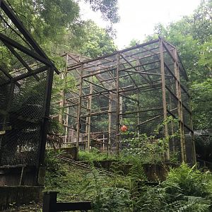 Primate enclosure 300617