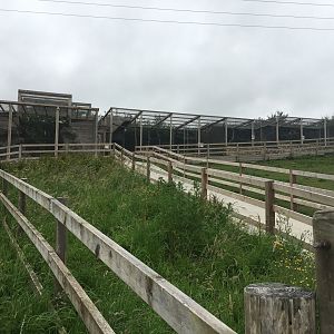 Genet enclosure to left, aviaries to right 300617