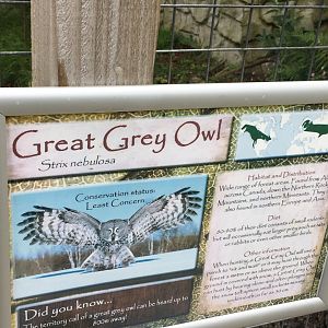 Signage example 300617