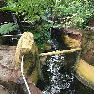 Tropical House 300617