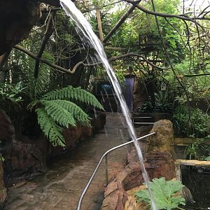 Tropical House 300617