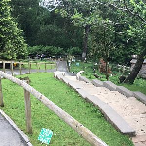 Walk through enclosure 300617