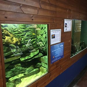 Aquarium exhibits 010817