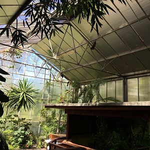 Tropical House 010817