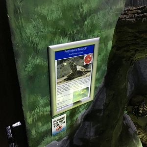 Signage example 030817