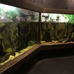 Aquarium exhibit 030817