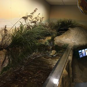 Coastal themed exhibit 030817