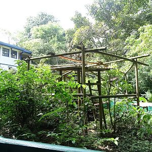White-nosed coati enclosure