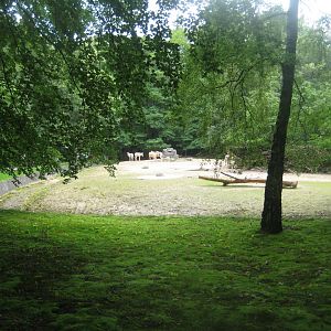 Rostock Zoo - Asian plain