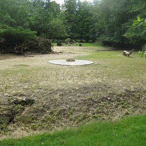 Rostock Zoo - Asian plain