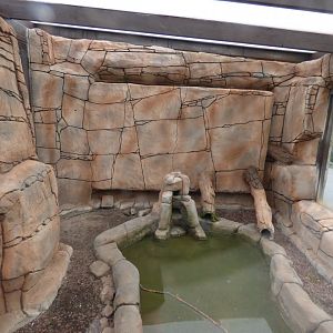 Water Vole Enclosure