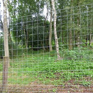 part of the Brown Bear enclosure