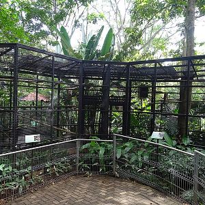 Owl enclosures