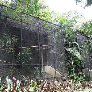 Aviaries