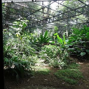 Jaguar enclosure