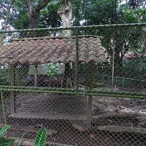 Former tapir enclosure
