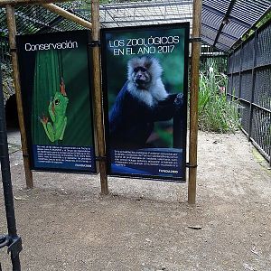 Education panels in former lion enclosure