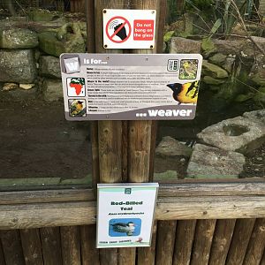 Signage example 040817