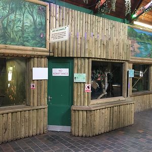 Monkey House indoors 040817