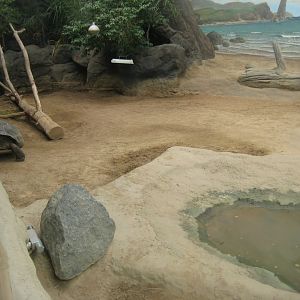 Rostock Zoo - Darwineum - Galapagos tortoise exhibit