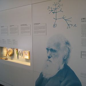 Rostock Zoo - Darwineum - Darwin exhibition