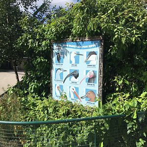 Identification sign for one aviary 040817